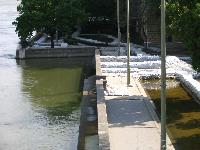 2006.04.30. - 964 cm - 12.jpg
